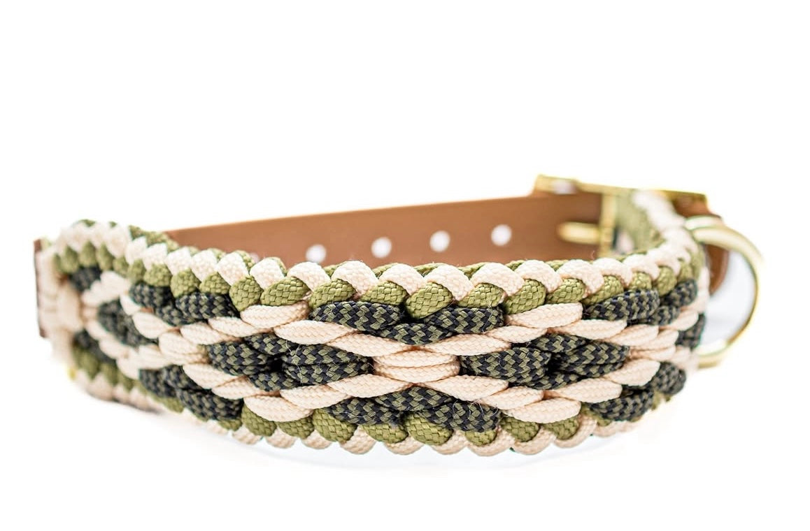 Hondenhalsband + riem Olive