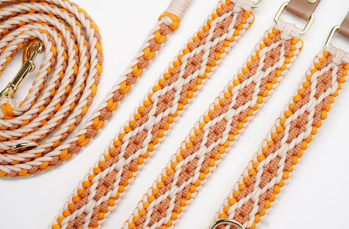 Hondenhalsband + riem Orange