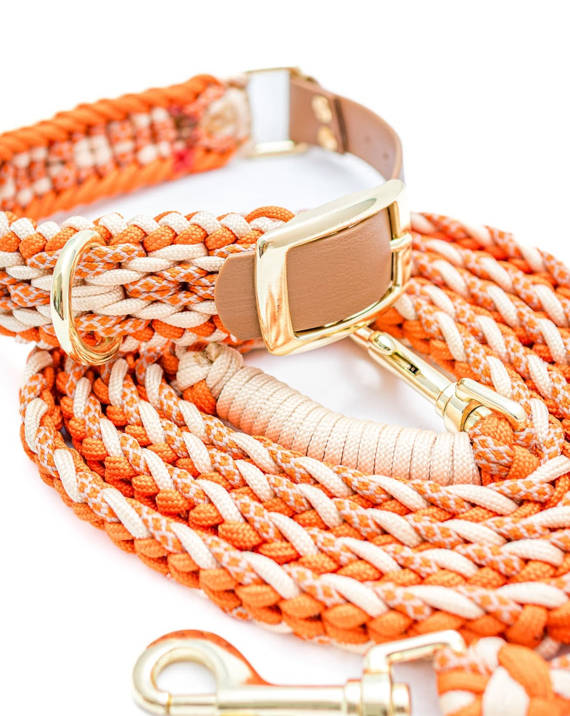 Hondenhalsband + riem Orange