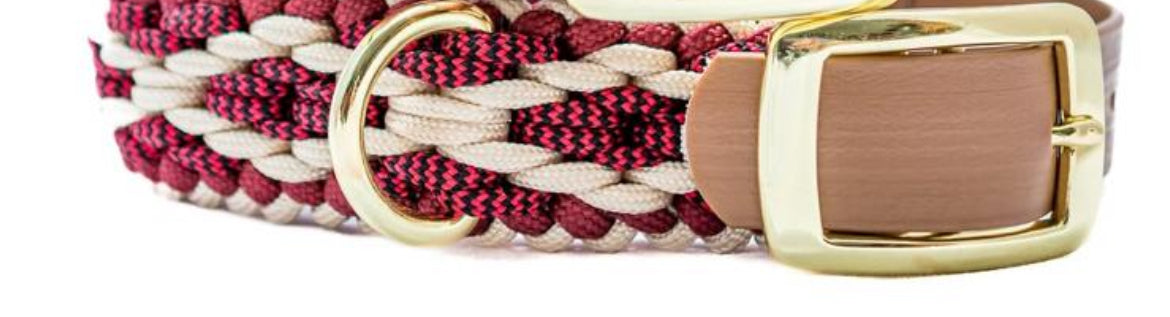 Hondenhalsband + riem Burgundy