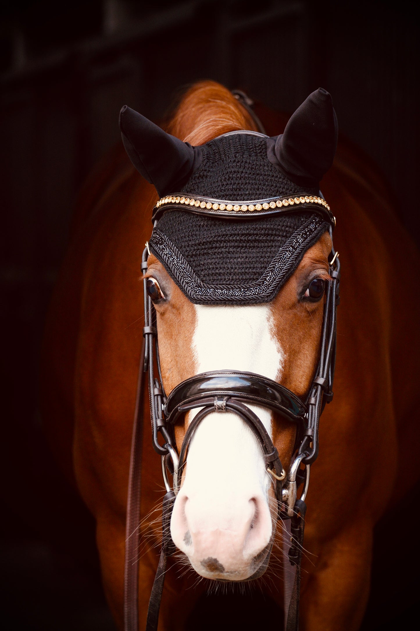 PONY & COB COMING SOON! Oornetje Miami - Soundless