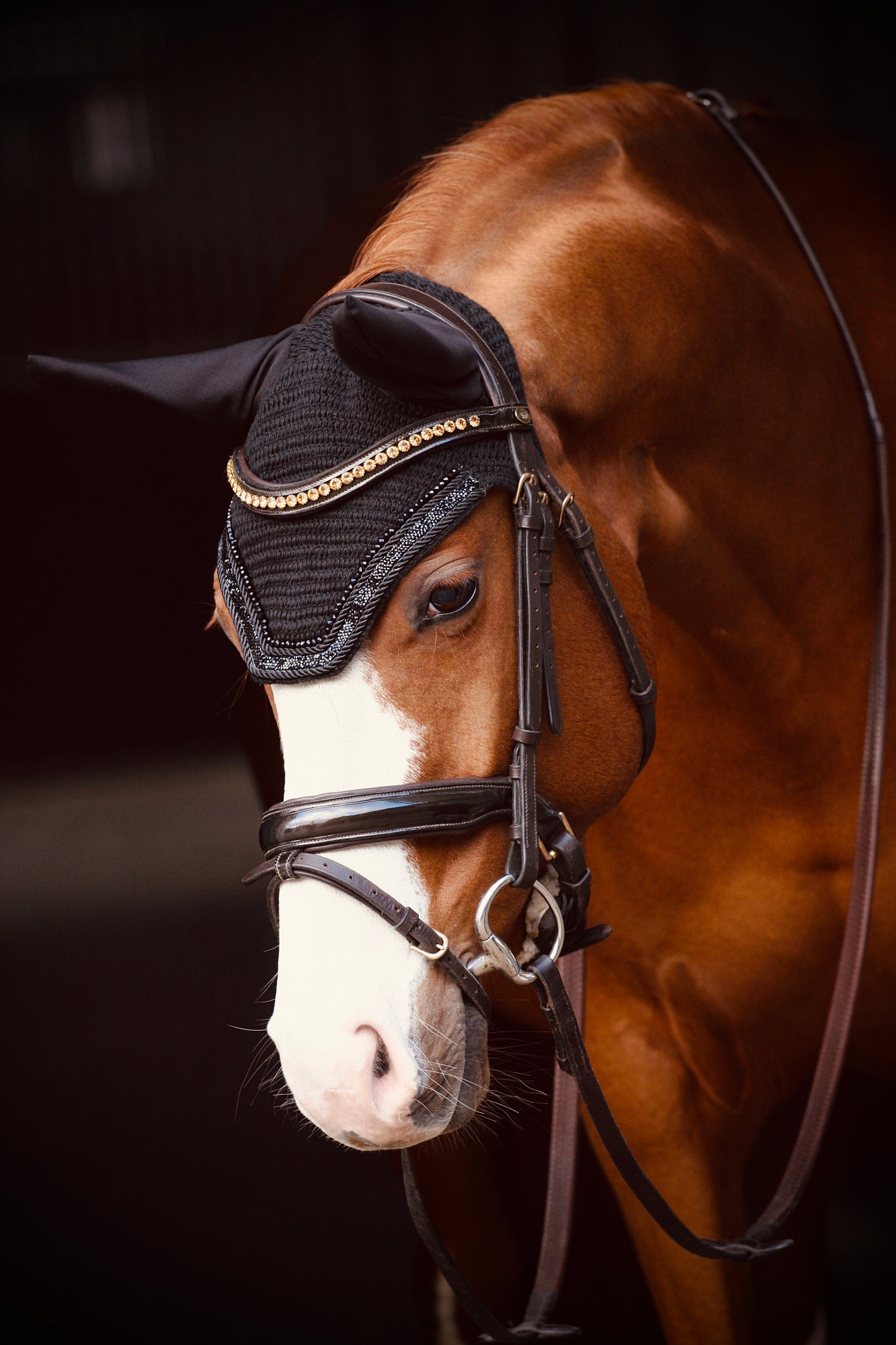 PONY & COB COMING SOON! Oornetje Miami - Soundless