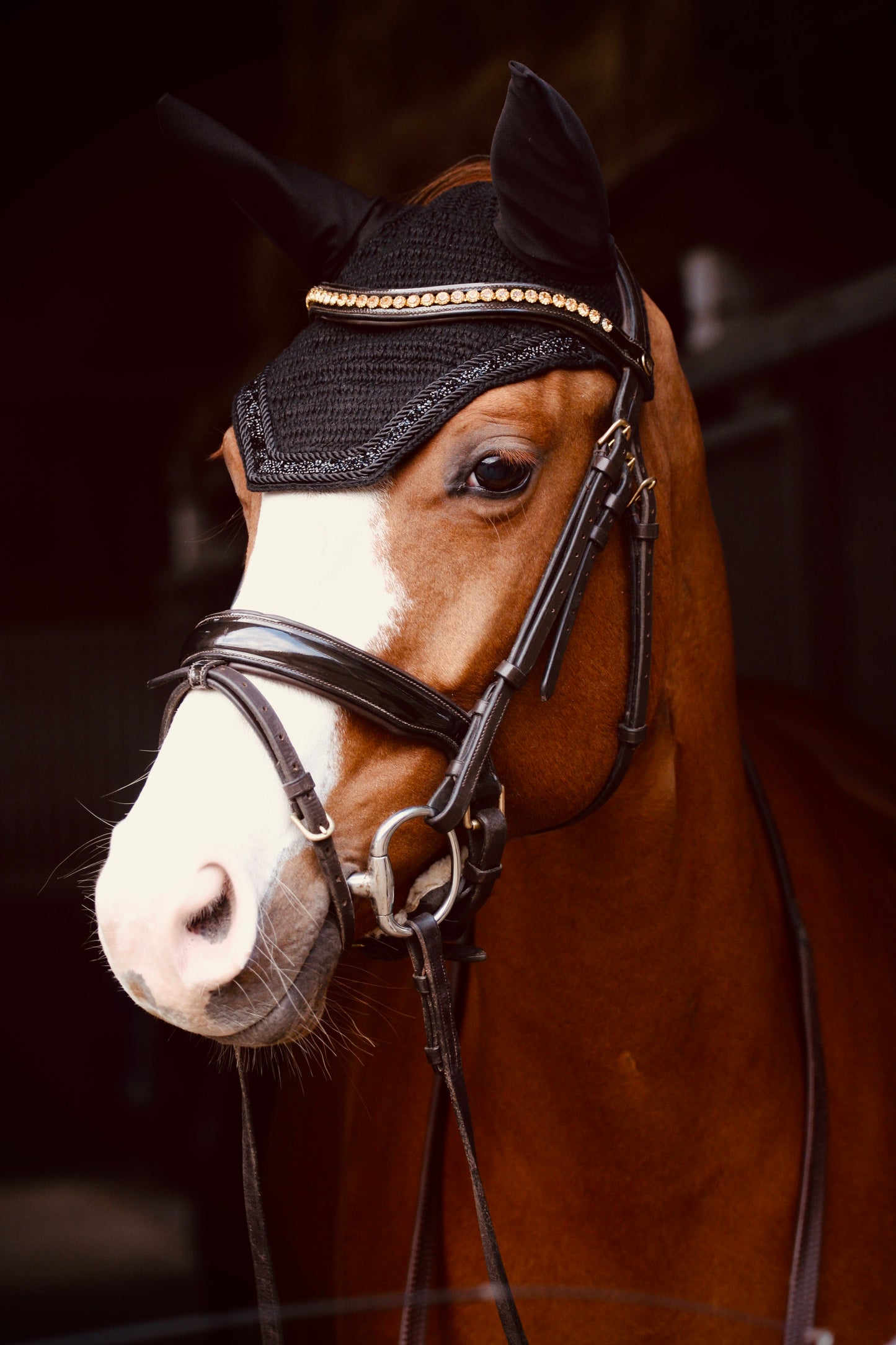 PONY & COB COMING SOON! Oornetje Miami - Soundless