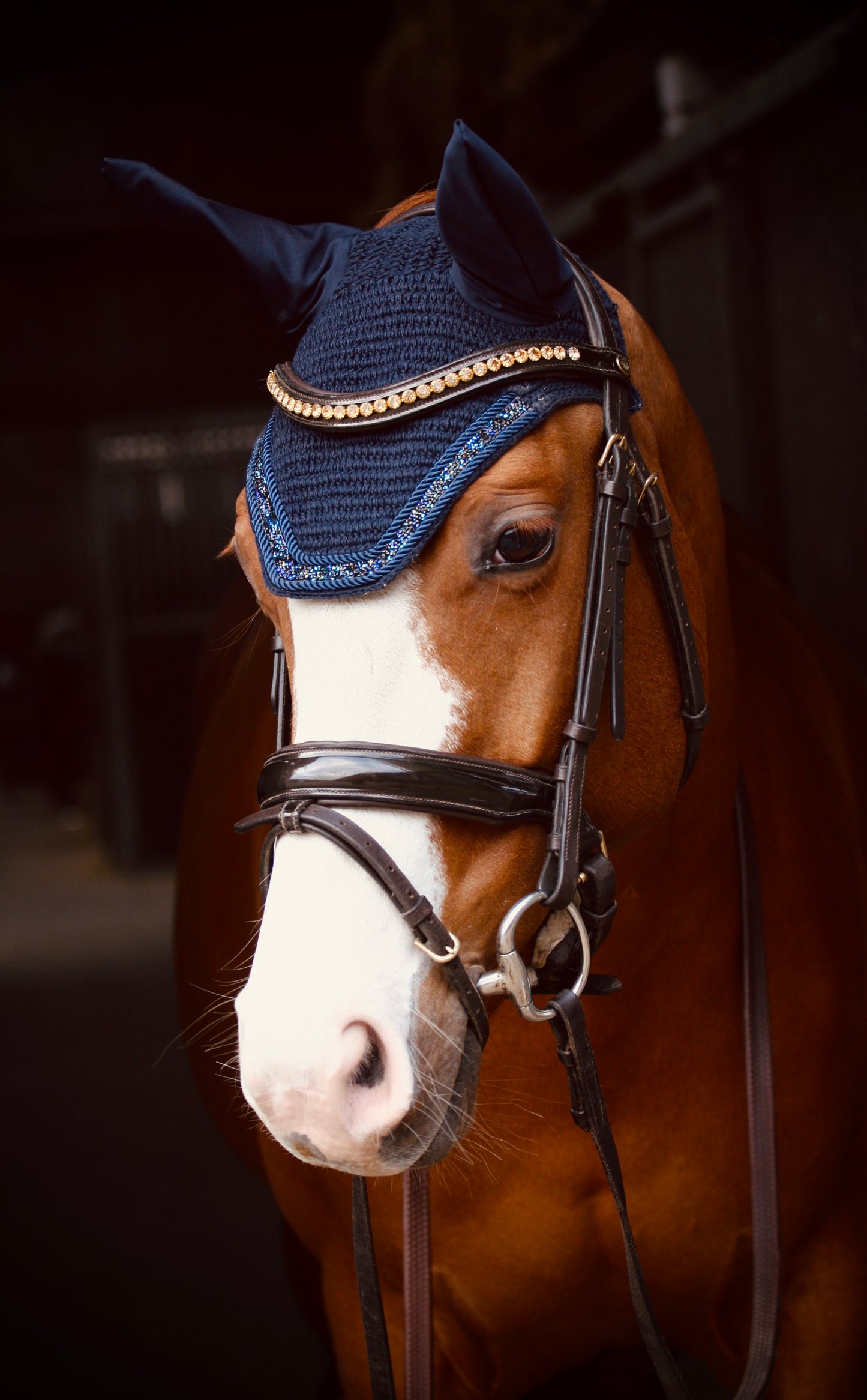 PONY & COB COMING SOON! Oornetje Miami - Soundless