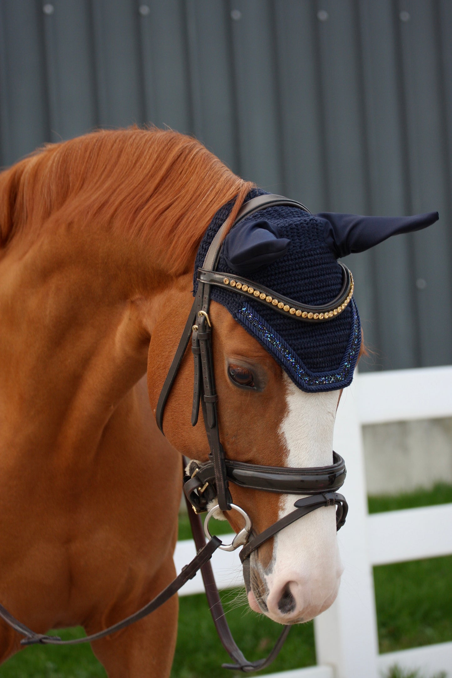 PONY & COB COMING SOON! Oornetje Miami - Soundless