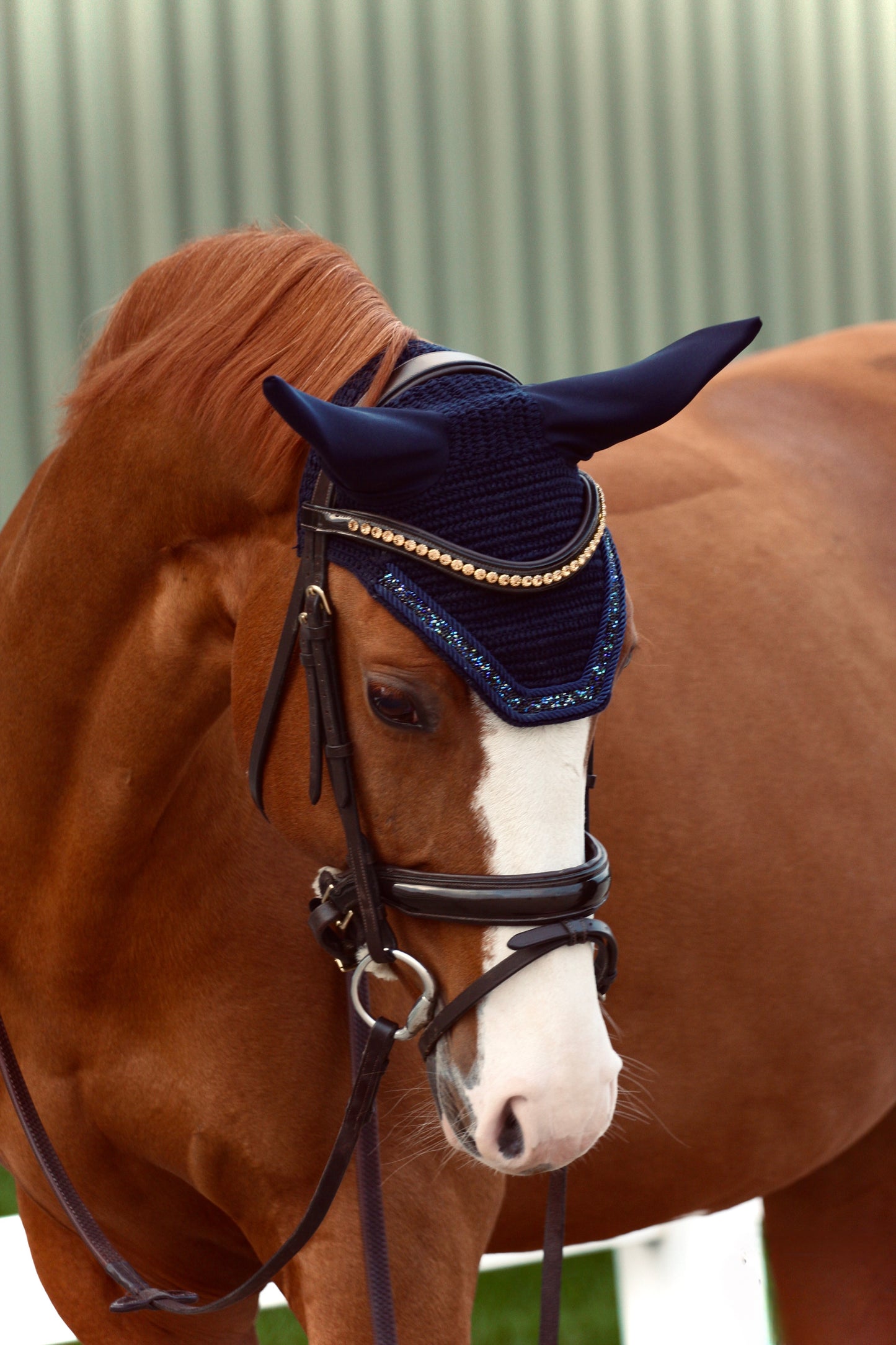 PONY & COB COMING SOON! Oornetje Miami - Soundless