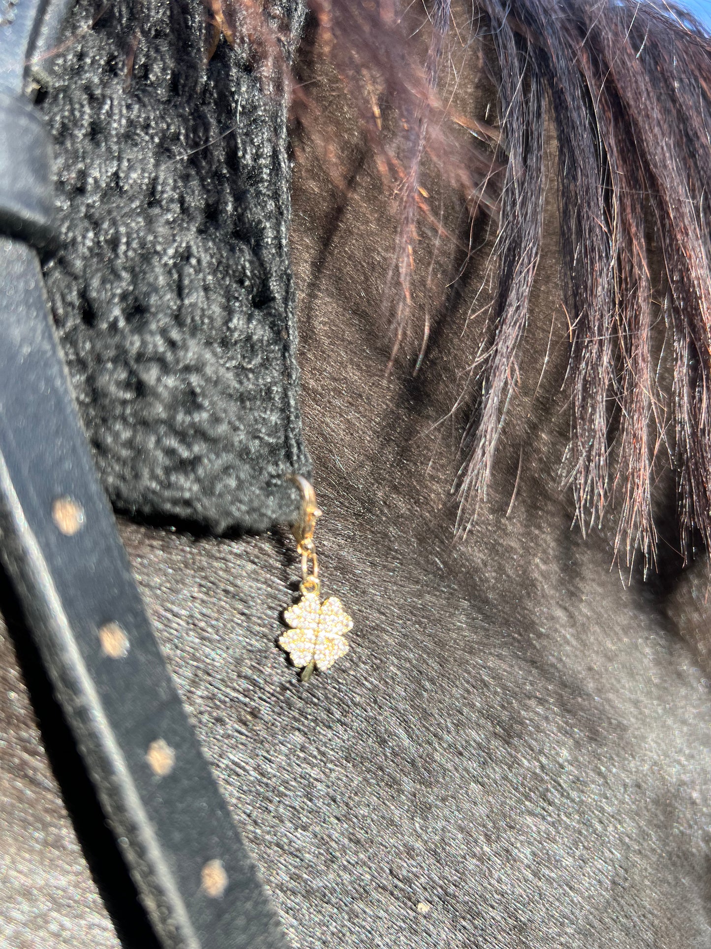Lucky charm Gold Luck