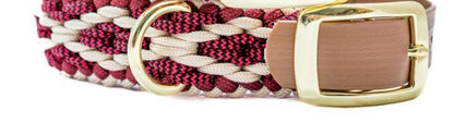 Hondenhalsband + riem Burgundy