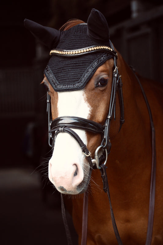 PONY & COB COMING SOON! Oornetje Miami - Soundless